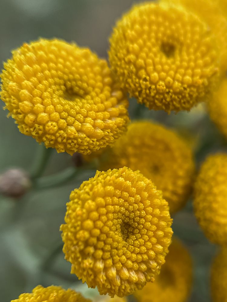 Photograph by Ольга Осинина