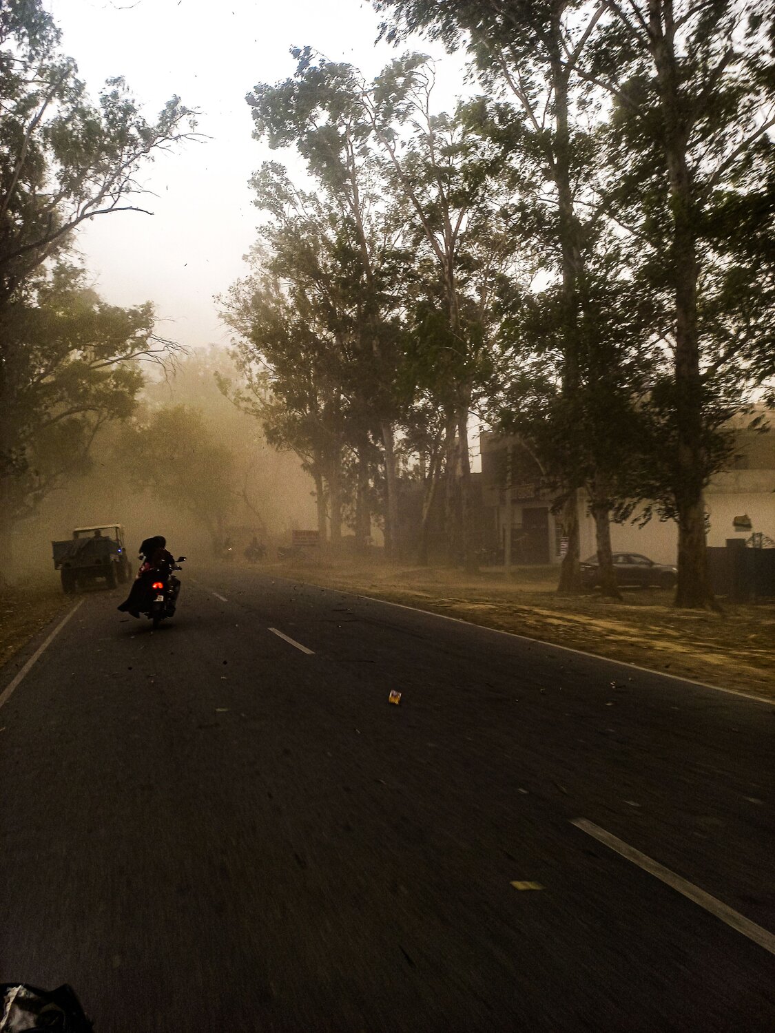 Photo #9730321