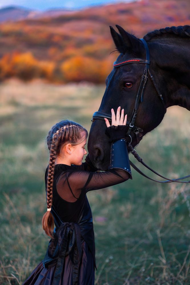 Любовь и лошади