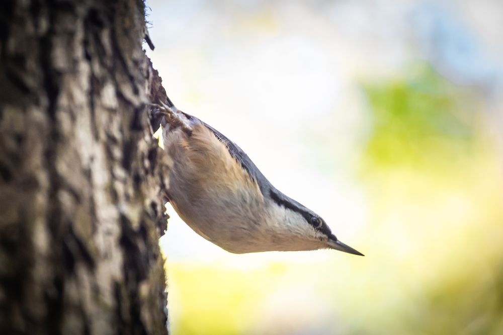 Photograph by Валентин Кольцов