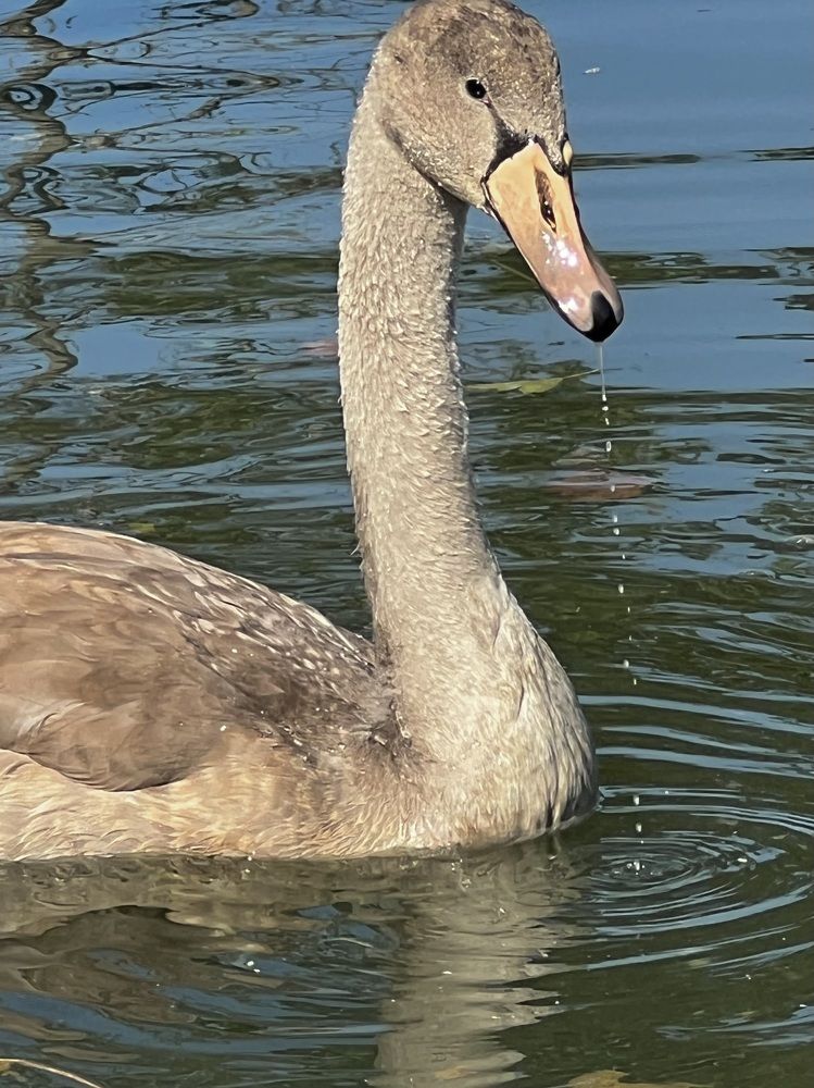 Photograph by Eugenia Schmidt