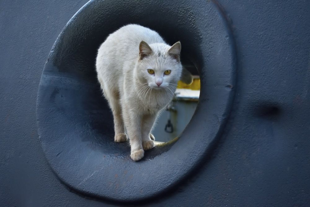 Photograph by Виктория Ушакова