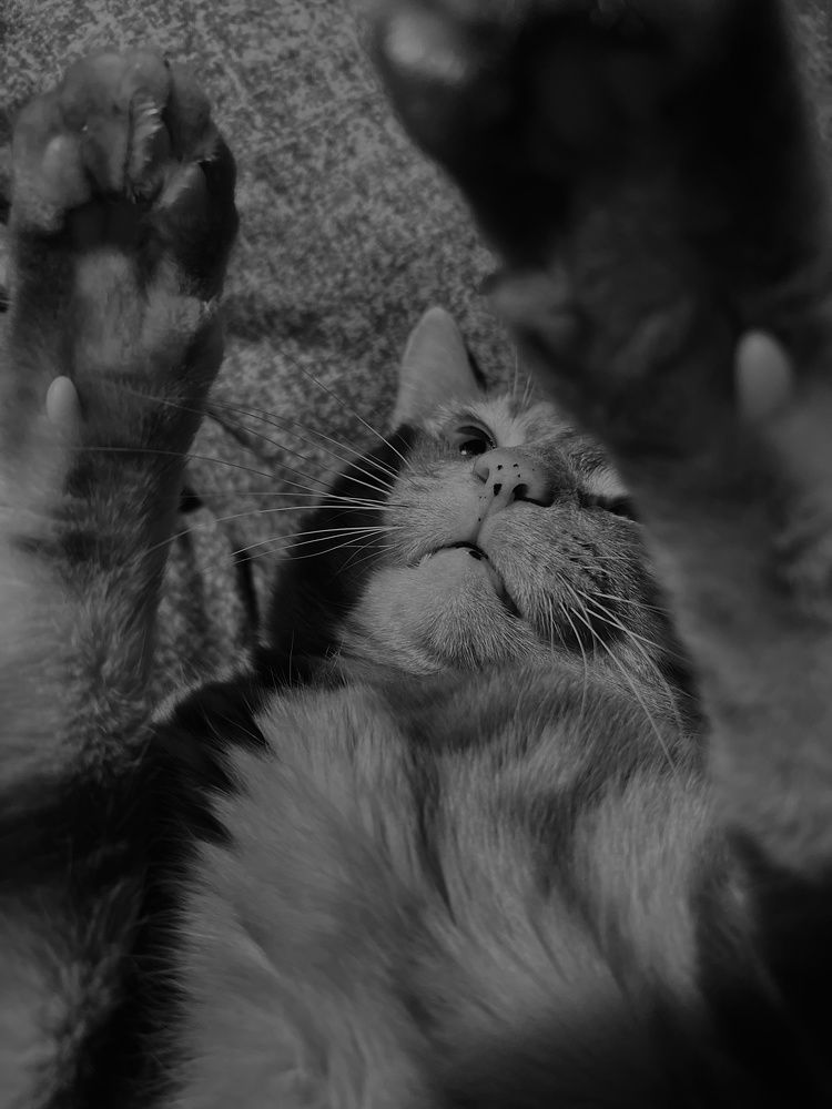 Photograph by Виктория Ушакова