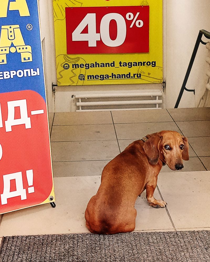 Фотография автора Светлана Зубанова