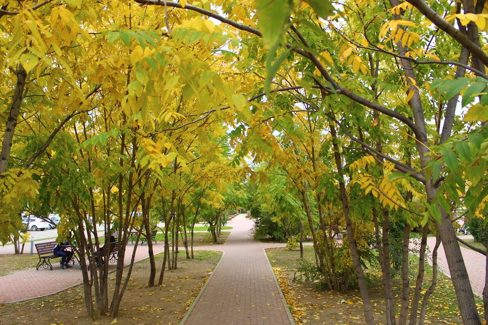 Photograph by Иван Крылов