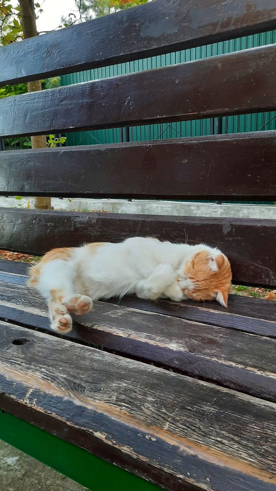 Photograph by Ольга Новоселова