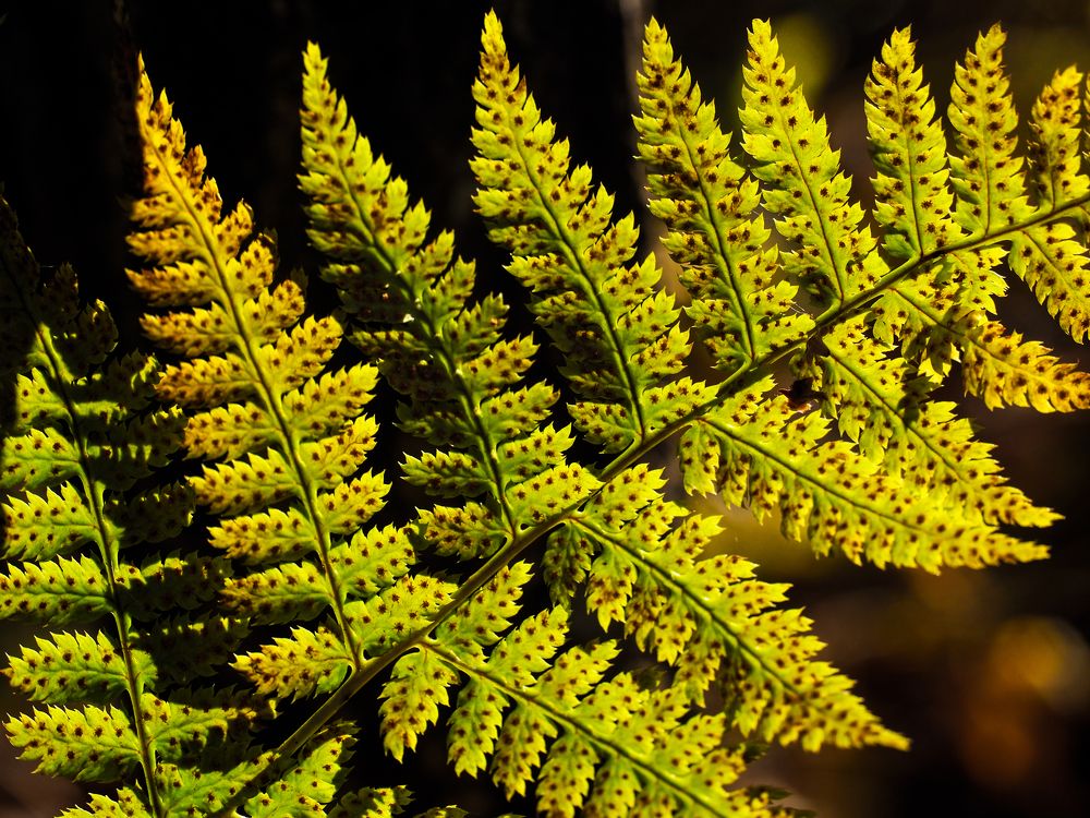 Photograph by Сергей Гаврилов