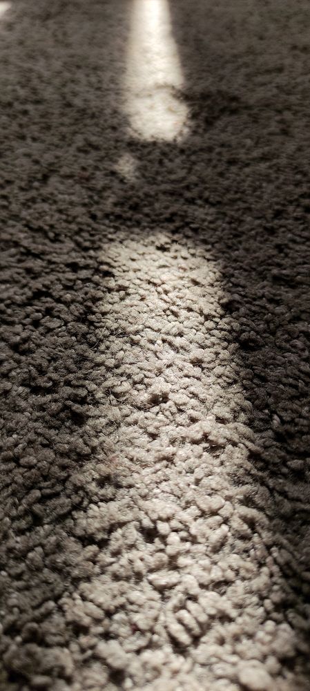 Photograph by Анастасия Пылаева