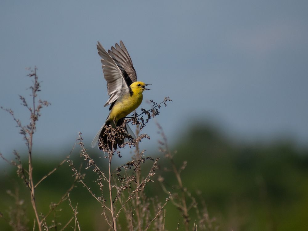 Photograph by Евгений Переведенцев