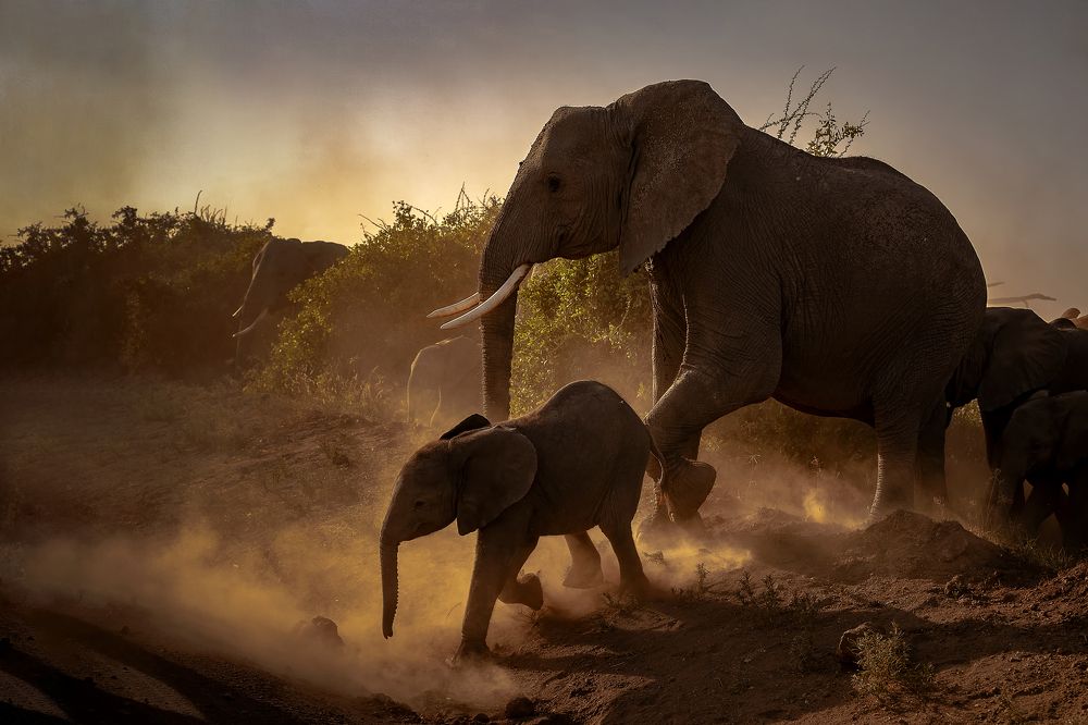 Photograph by Ashutosh Shinde