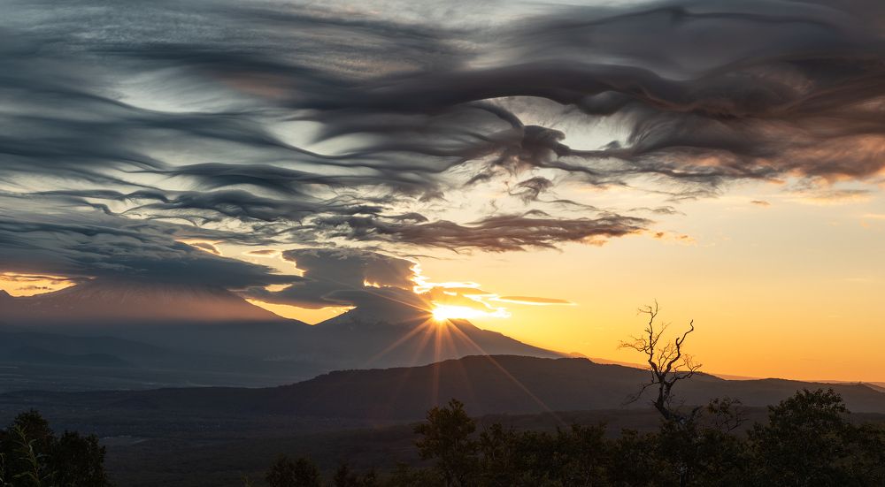 Photograph by Максин Александр
