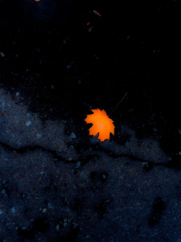 Photograph by Evgenia Privalova