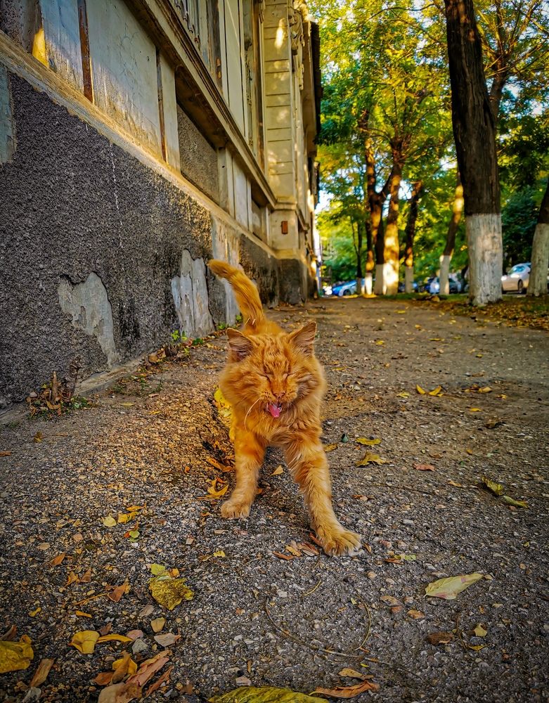 Photograph by Мария Цепилова