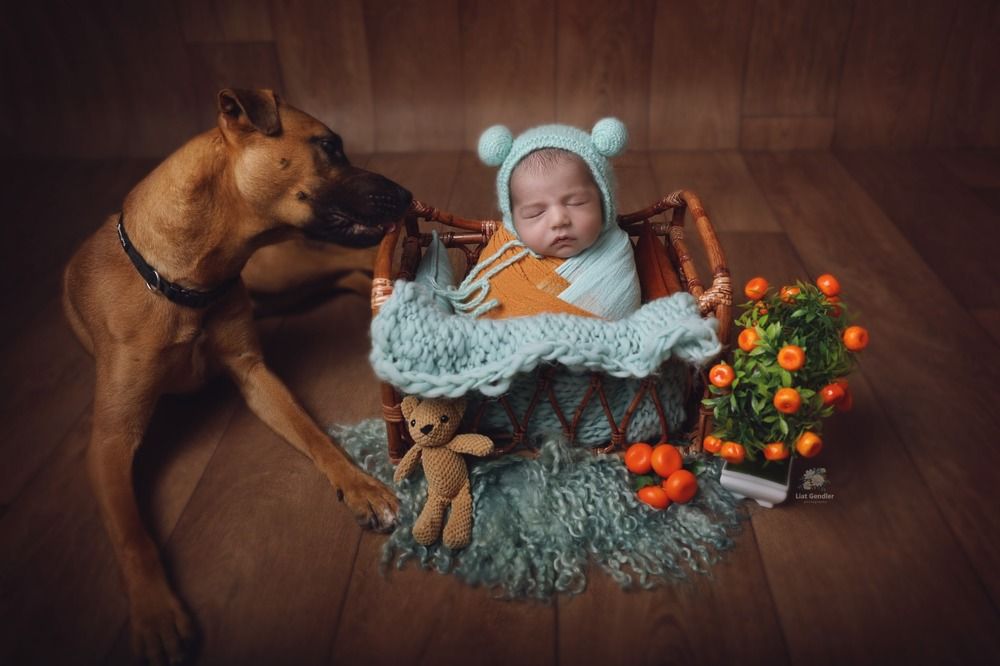 Photograph by LIAT GENDLER