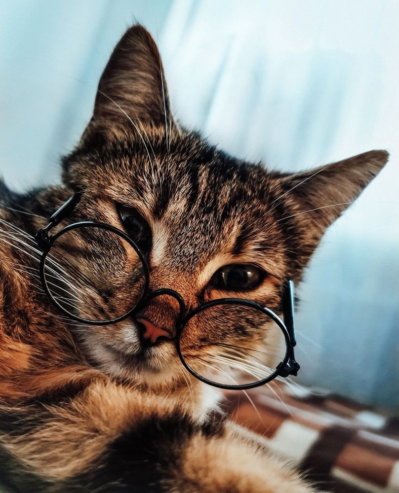 Photograph by Мария Цепилова