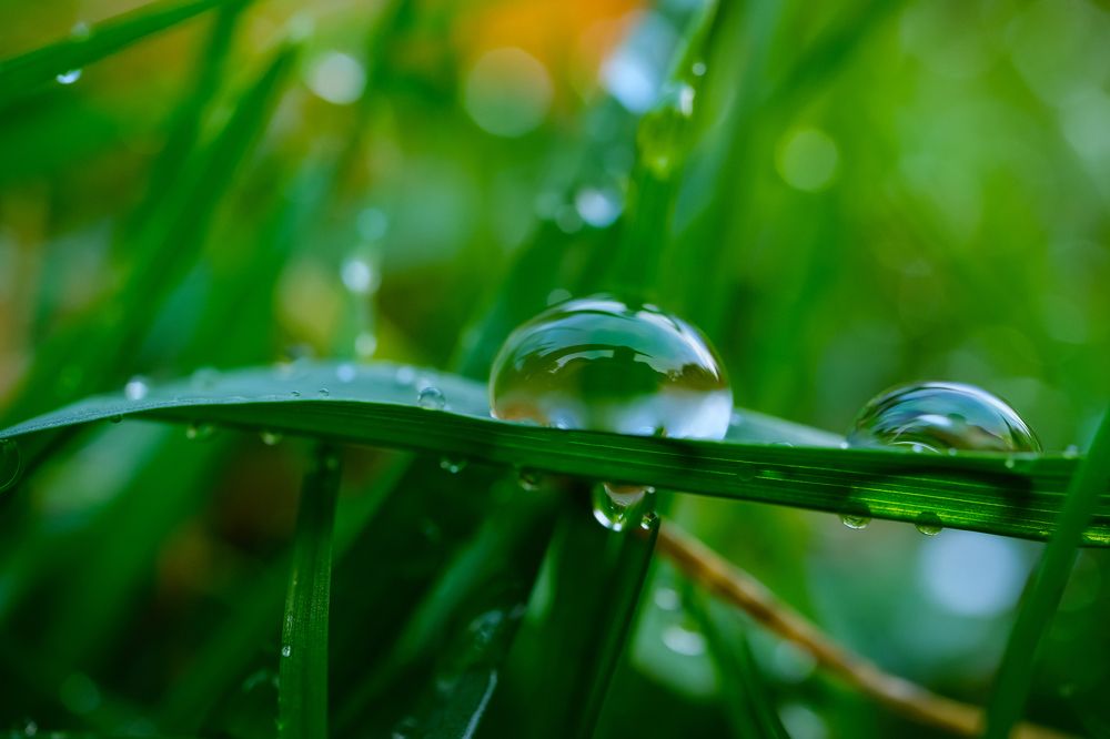 Photograph by Алексей Большаков