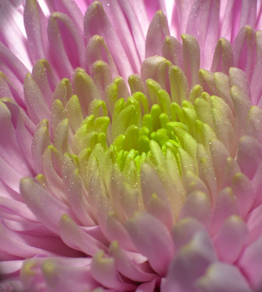 Photograph by Дмитрий Рассыльщиков