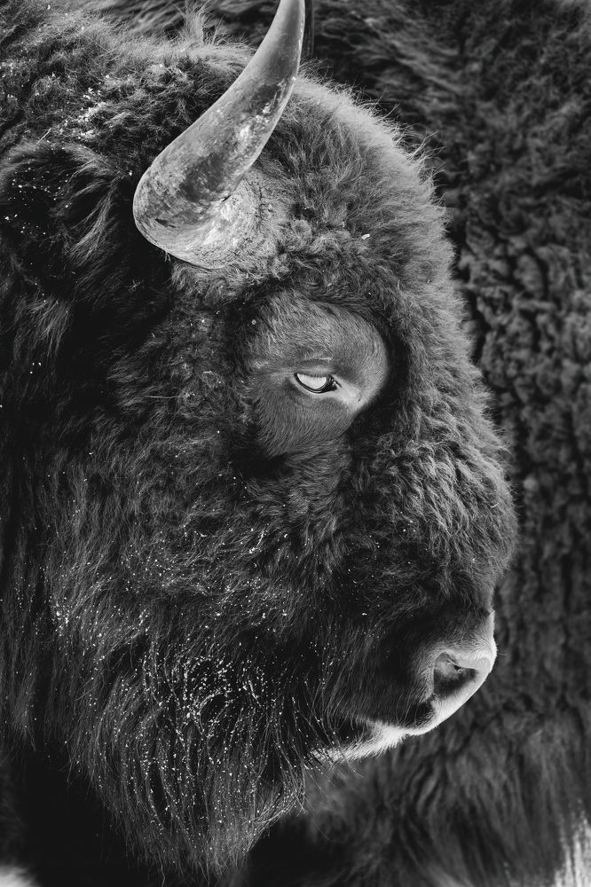 Тяжелый груз