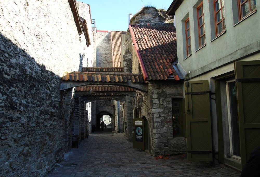 Photograph by Anna Baykova