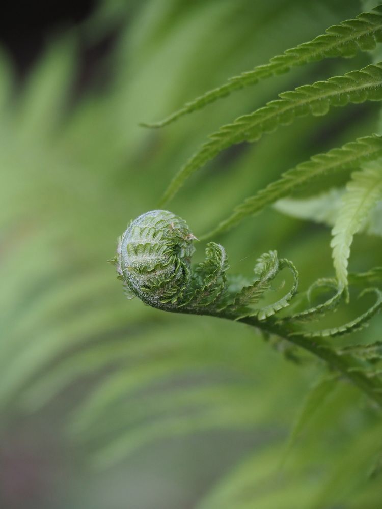 Photograph by Светлана Шибаршина