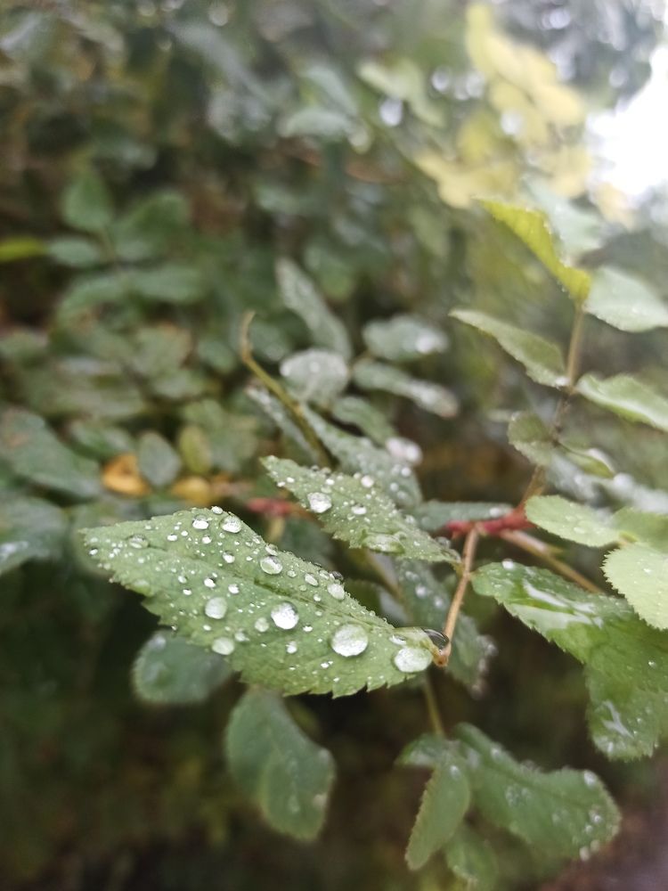 Photograph by Игорь Максимов