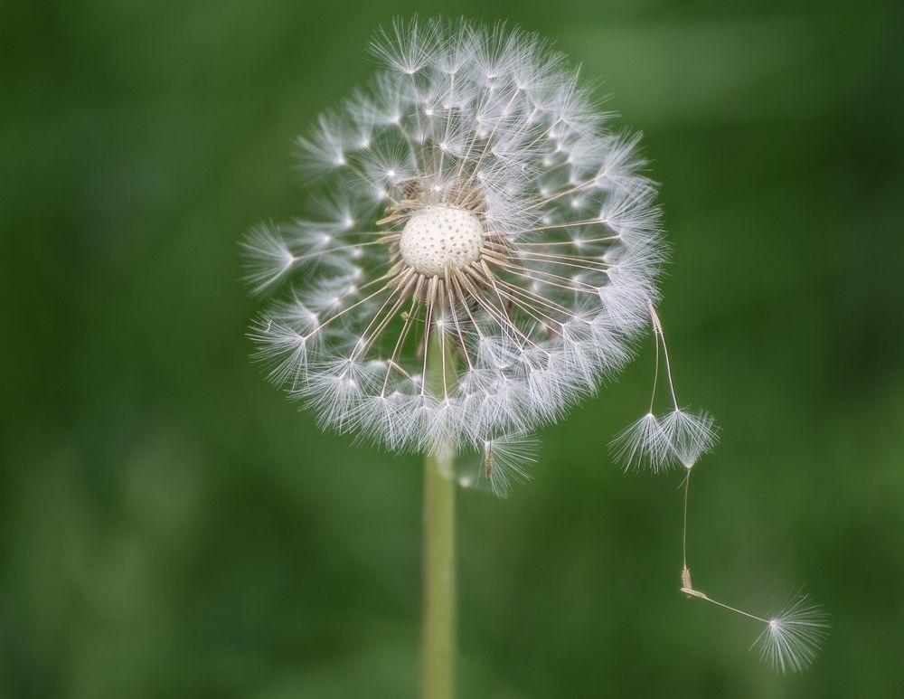 Photograph by Leanid Kulpo