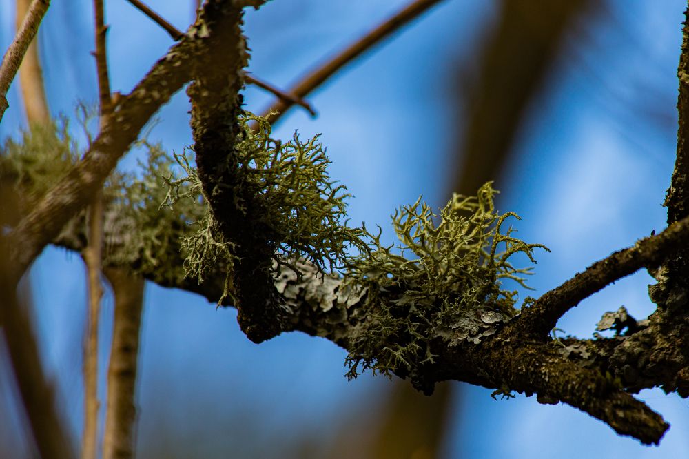 Photograph by Евгений Авдеев