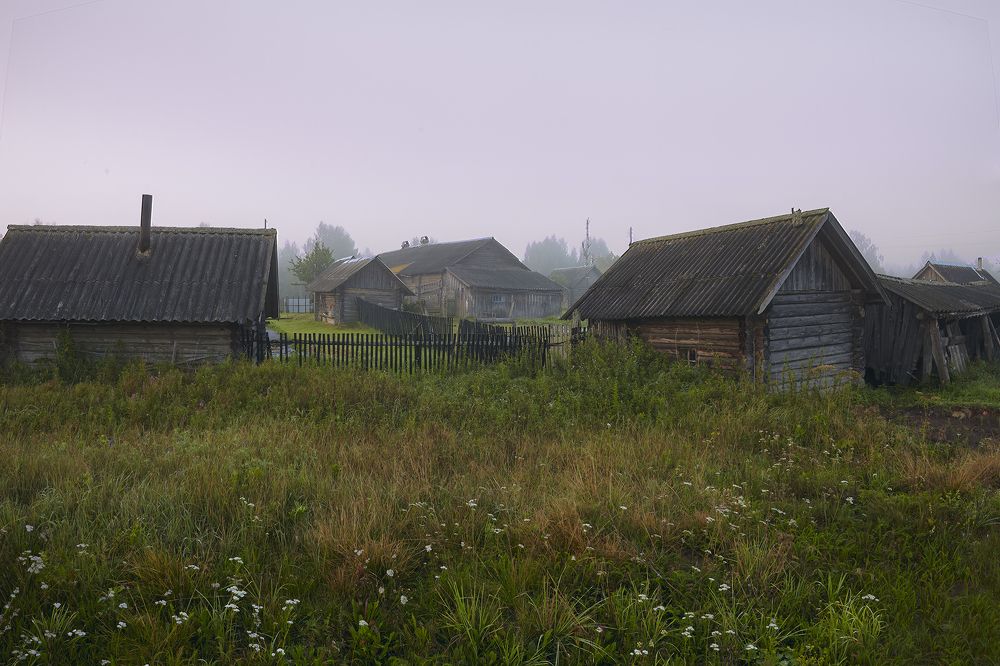 Photograph by Геннадий Васенков