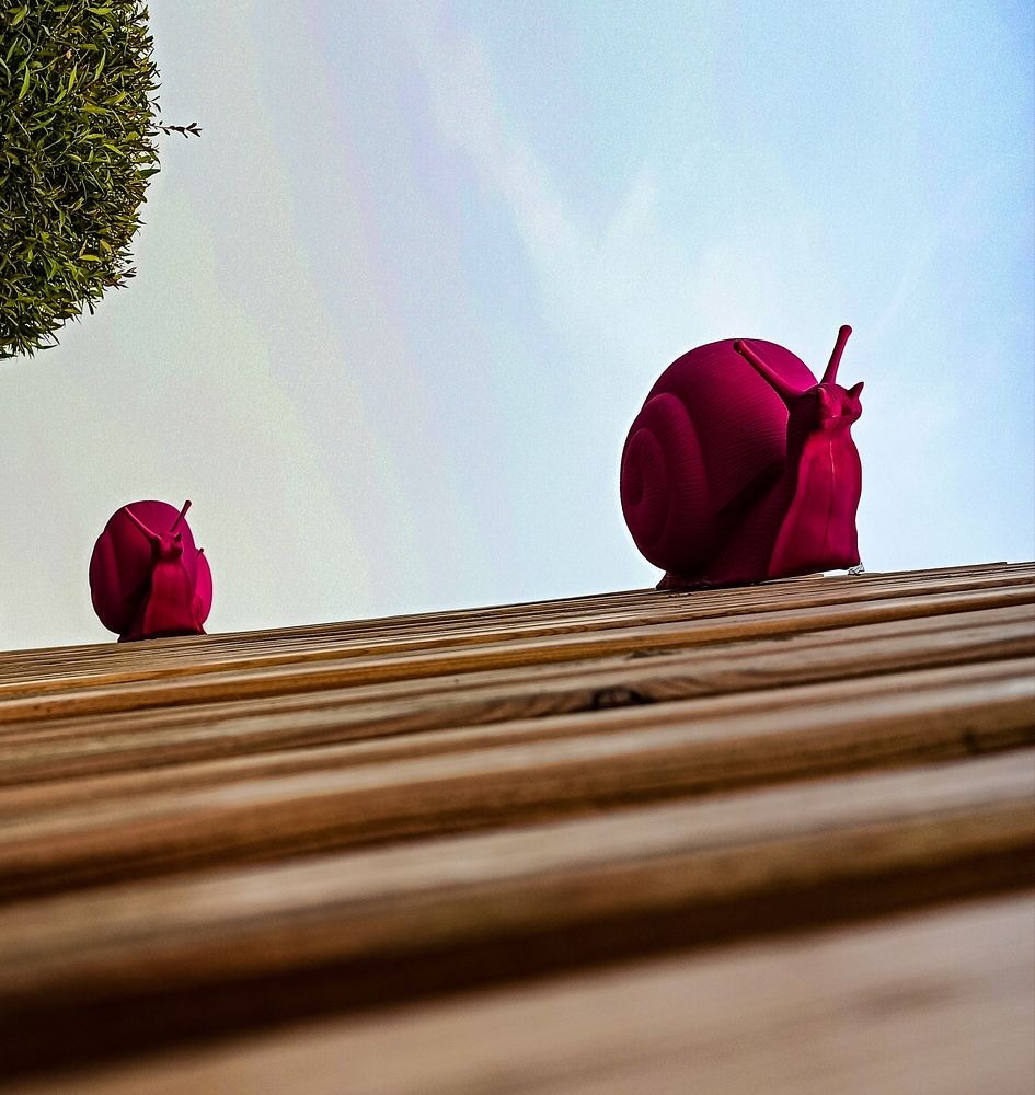 Photograph by Алексей