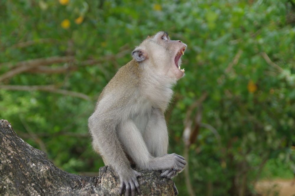 Photograph by Николай Фонарёв