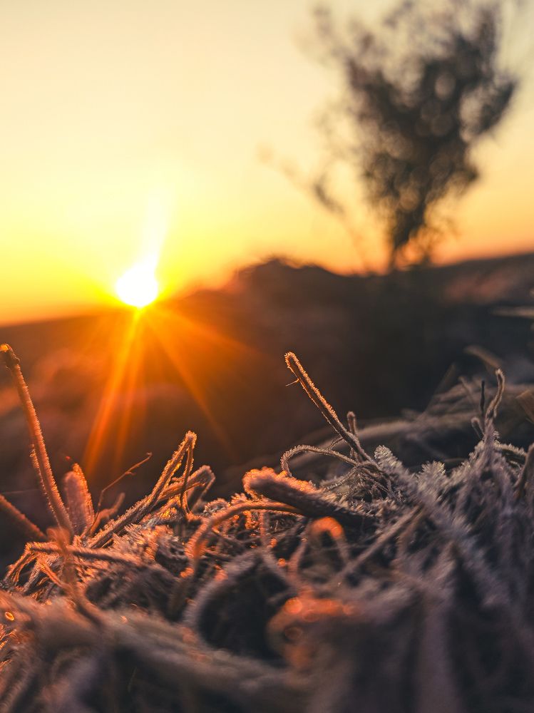 Photograph by Алексей