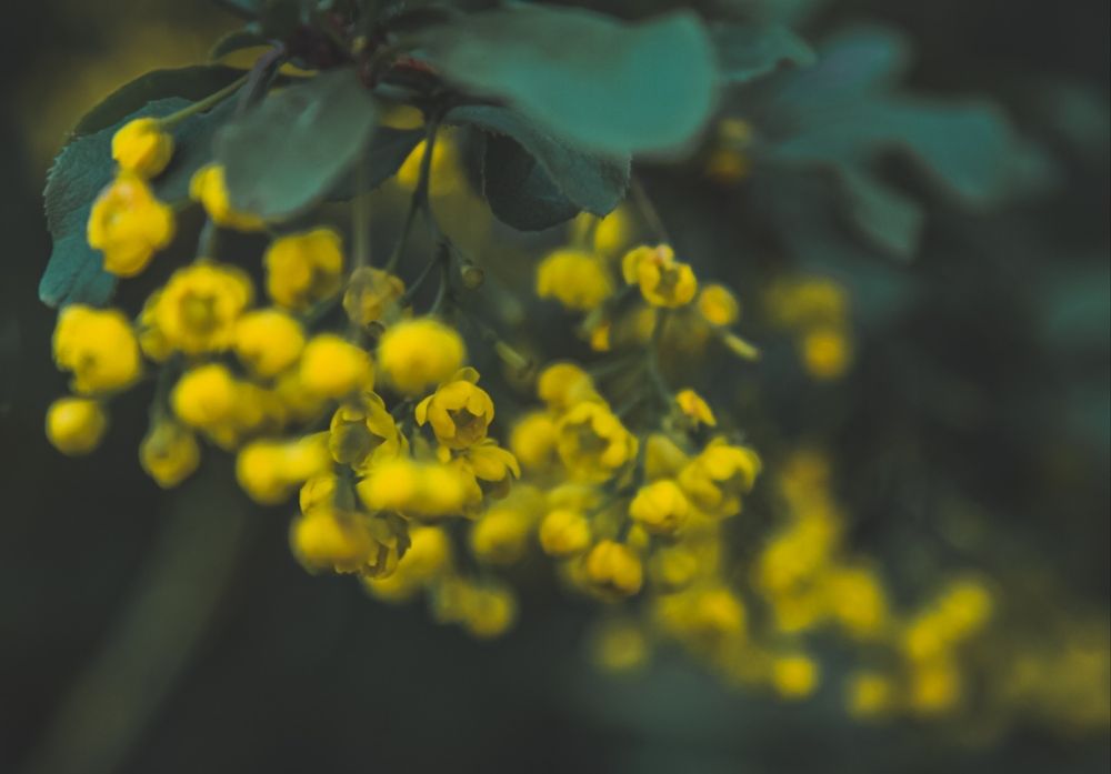 Photograph by Алексей