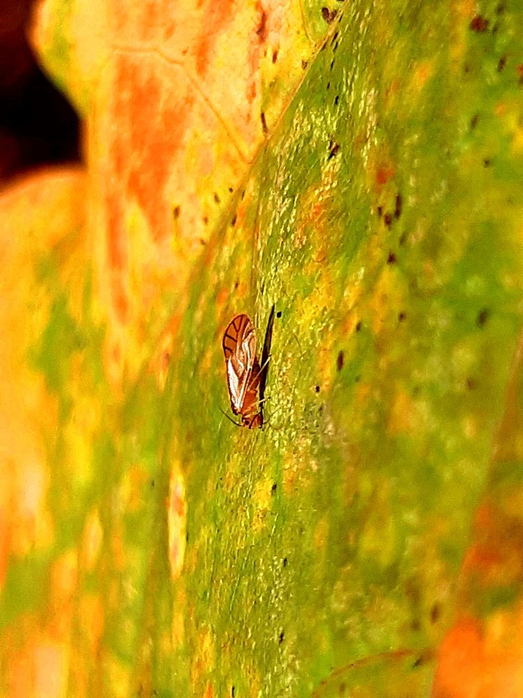 Photograph by Екатерина