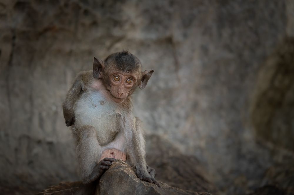 Photograph by Николай Фонарёв