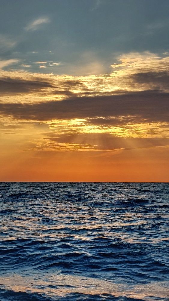 Photograph by Alexander Post61