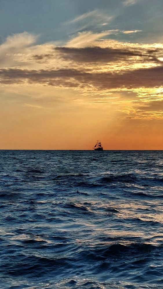 Photograph by Alexander Post61