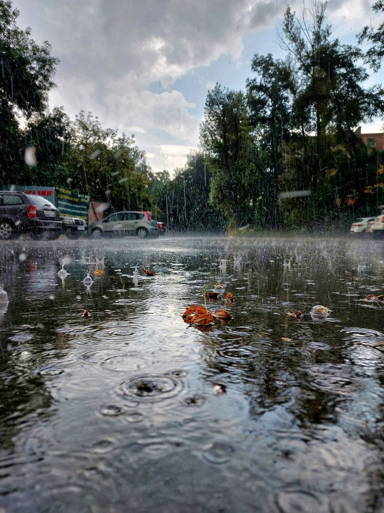 Photograph by Alexander Post61