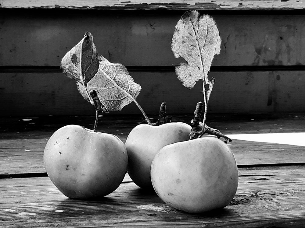 Photograph by Екатерина