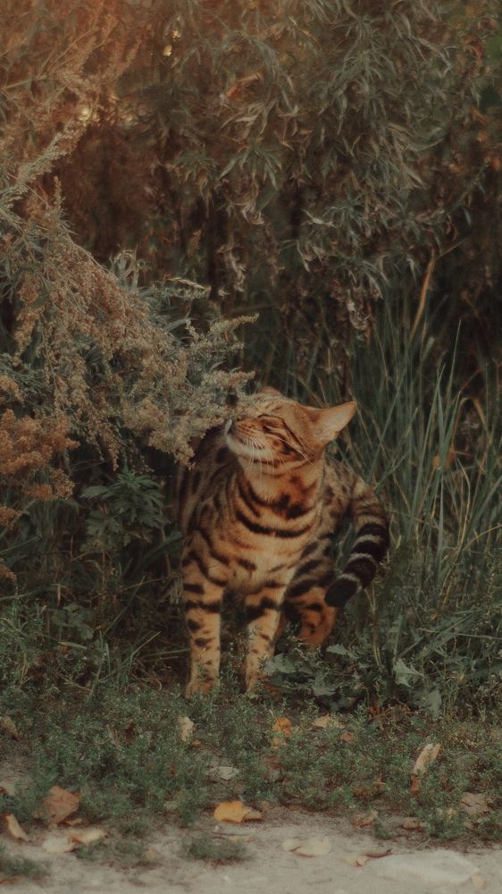 Photograph by Angelina Karelina