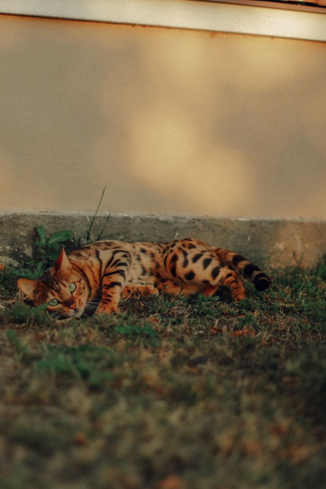 Photograph by Angelina Karelina