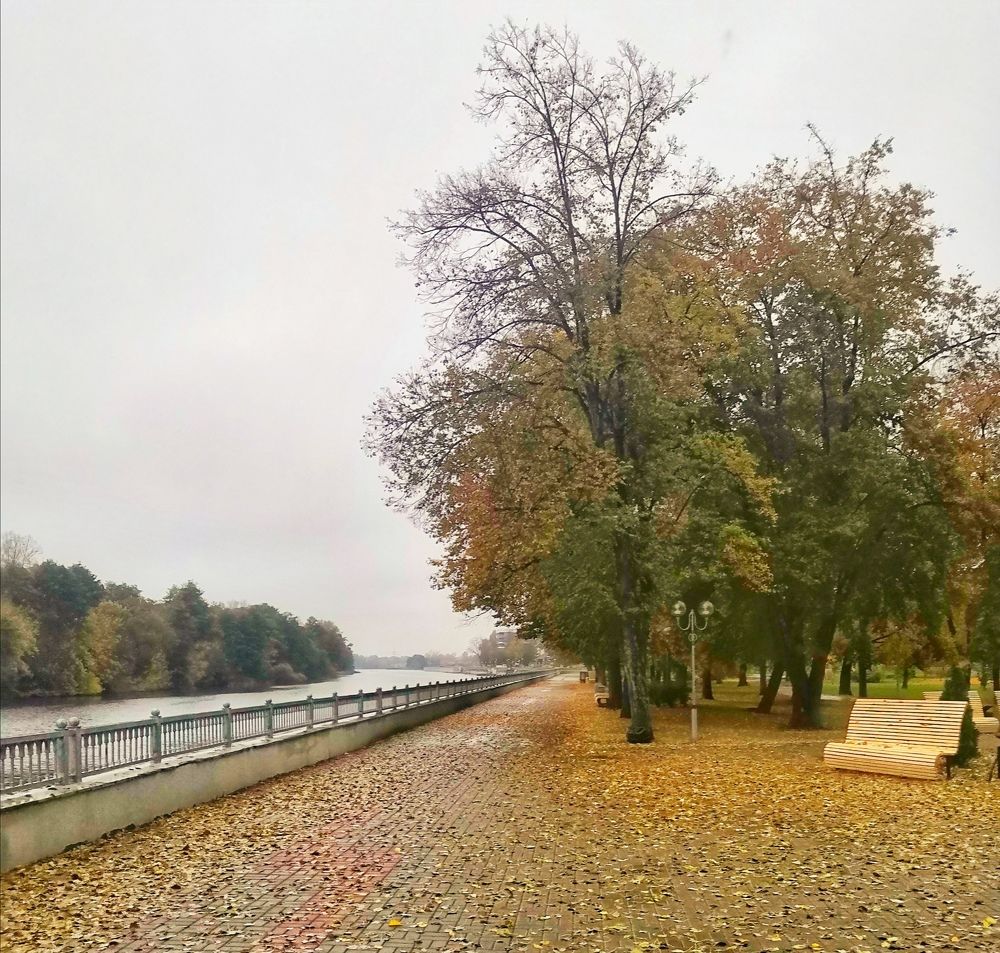 Photograph by Леонид