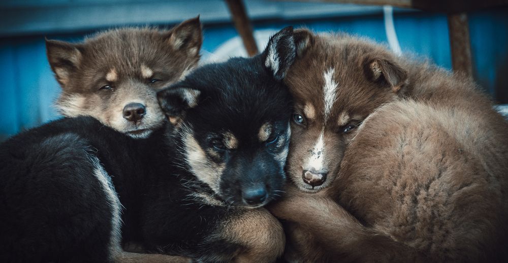 Photograph by Александр Фанталов