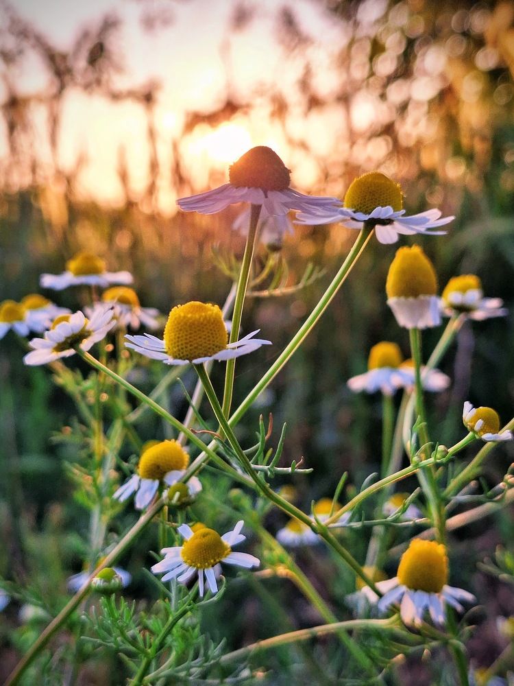 Фотография автора Даниил Барченко