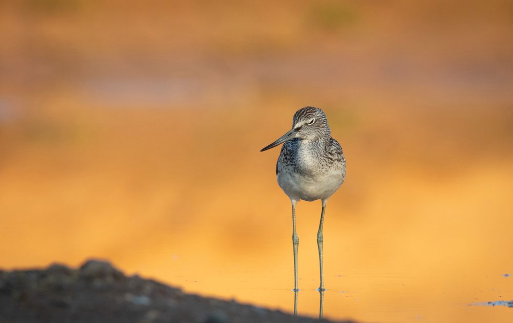 Photograph by Павел Краснослободцев