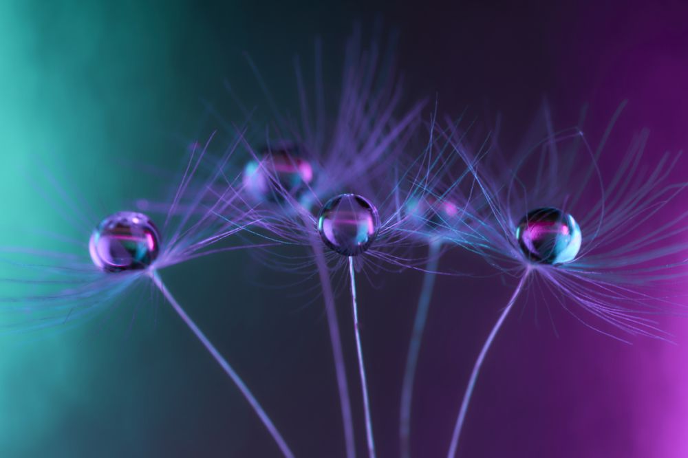 Photograph by Руфат Лажанский