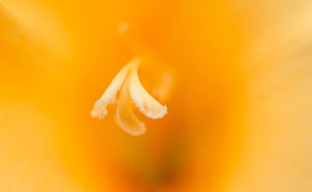 Photograph by Максим Жухлистов