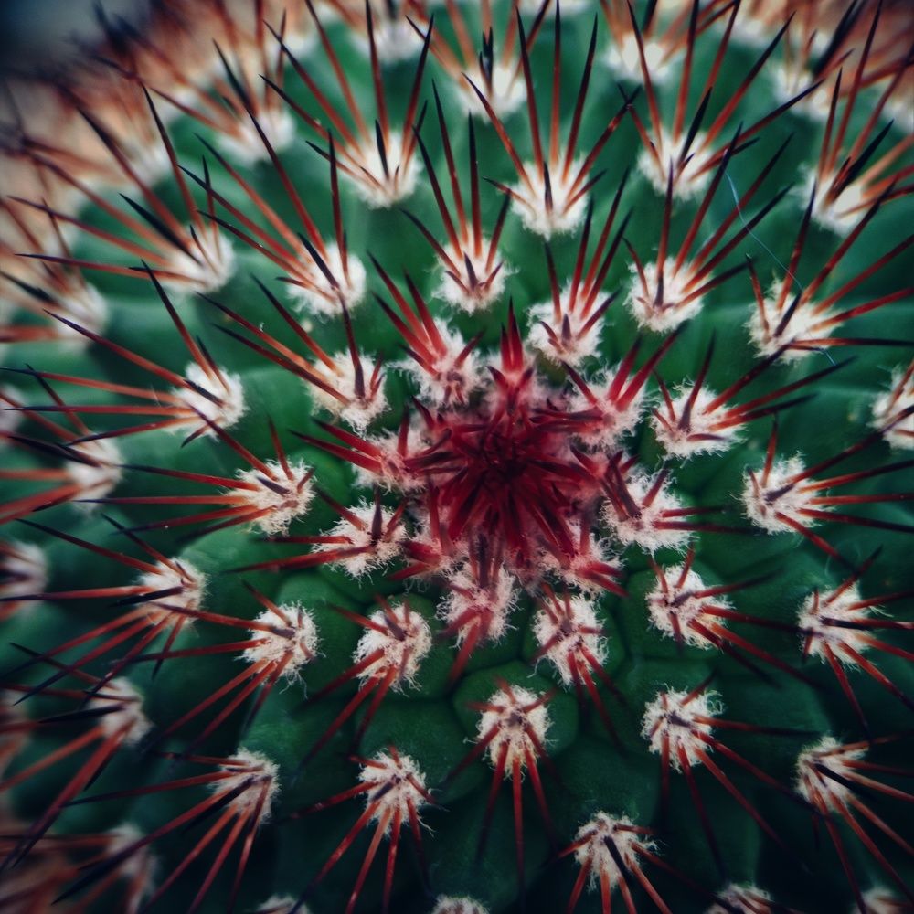 Photograph by Ольга Юминова