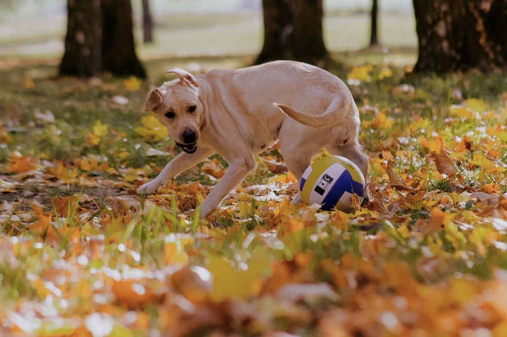 Photograph by Любовь Павленкова