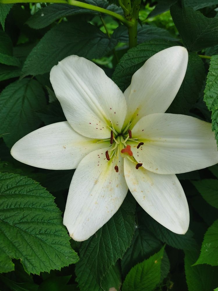 Photograph by Наталья Билай