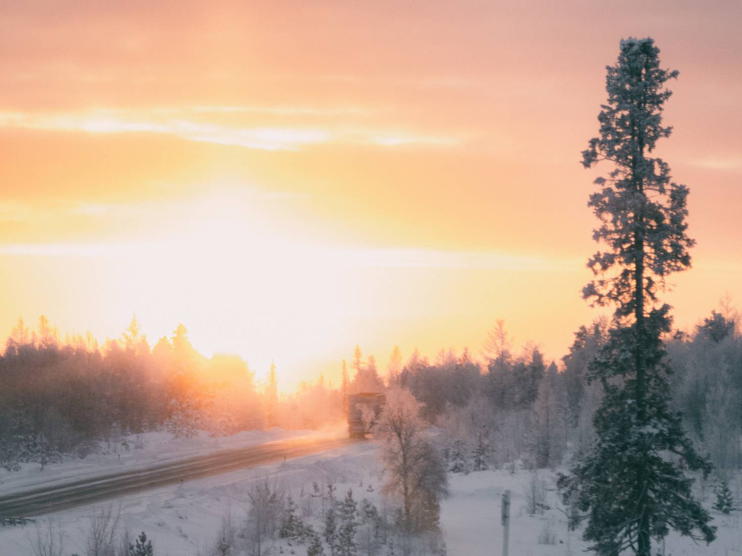 Photo #9731328